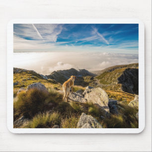 Alfombrilla De Ratón El viaje