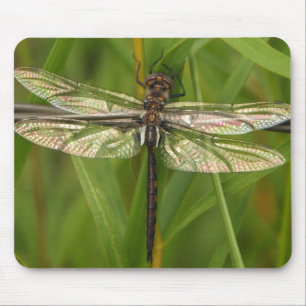 Alfombrilla De Ratón El vitral se va volando la libélula Mousepad