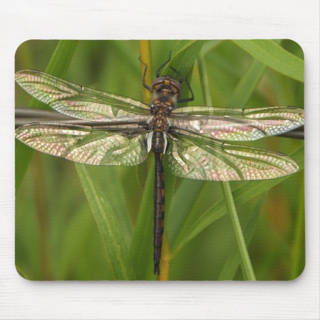 Alfombrilla De Ratón El vitral se va volando la libélula Mousepad (Frente)