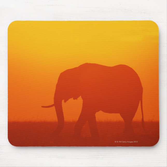 Alfombrilla De Ratón Elefante africano caminando al atardecer, Kenia (Frente)