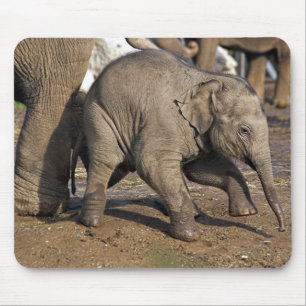 Alfombrilla De Ratón elefante bebé