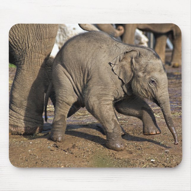 Alfombrilla De Ratón elefante bebé (Frente)
