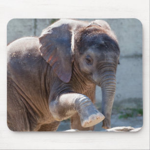 Alfombrilla De Ratón Elefante bebé