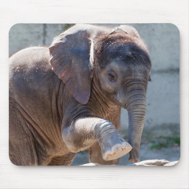 Alfombrilla De Ratón Elefante bebé (Frente)