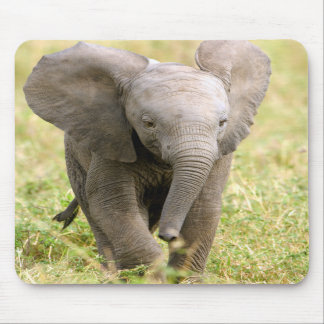 Alfombrilla De Ratón Elefante bebé
