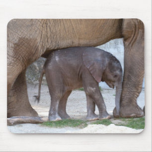 Alfombrilla De Ratón Elefante bebé