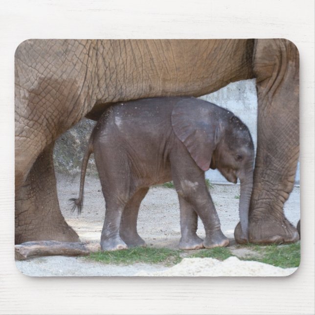 Alfombrilla De Ratón Elefante bebé (Frente)