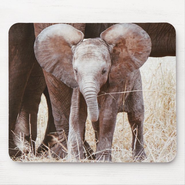 Alfombrilla De Ratón Elefante bebé cute elefante africano con mamá (Frente)