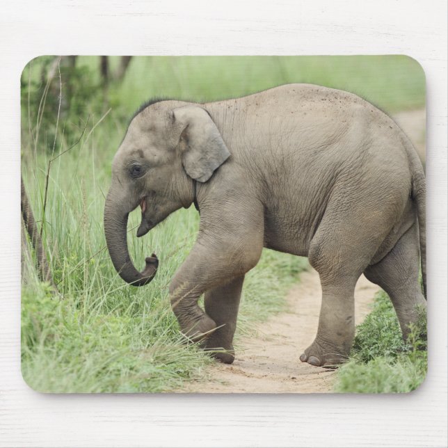 Alfombrilla De Ratón Elefante bebé siguiendo a la madre, Corbett (Frente)