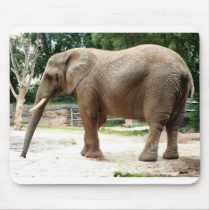 Alfombrilla De Ratón Elefante de África