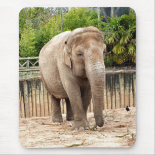 Alfombrilla De Ratón elefante indio