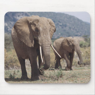 Alfombrilla De Ratón Elefante madre caminando con cría de elefante