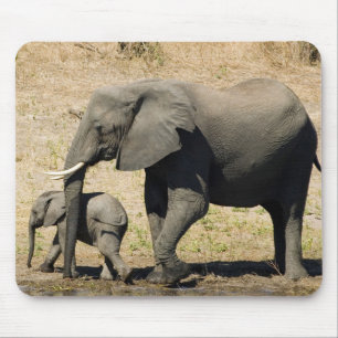 Alfombrilla De Ratón Elefante y madre del bebé