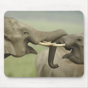 Alfombrilla De Ratón Elefantes indios asiáticos juegan a la lucha