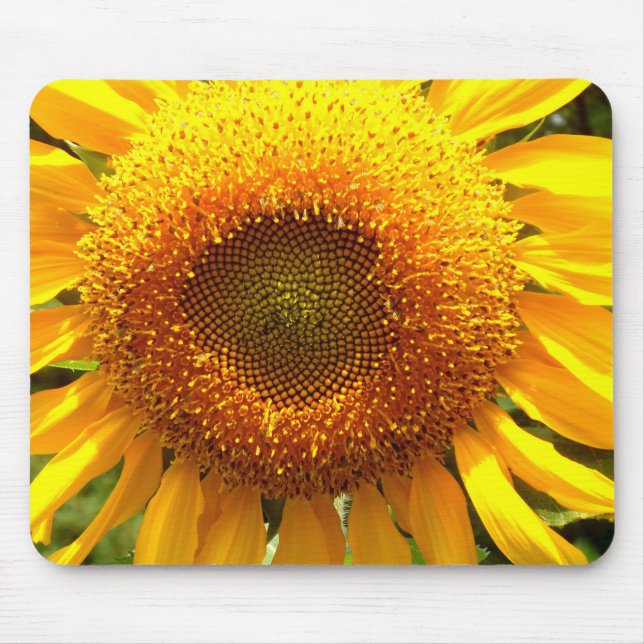 Alfombrilla De Ratón Elegante foto de girasol (Frente)