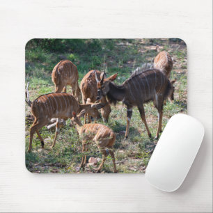 Alfombrilla De Ratón Elegante foto de Nyala Antelope para la vida salva