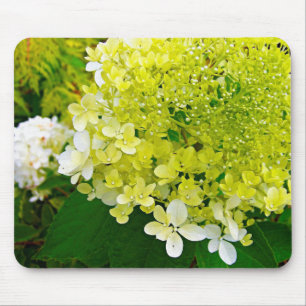 Alfombrilla De Ratón Elegante Hortensia Limelight Verde Chartreuse