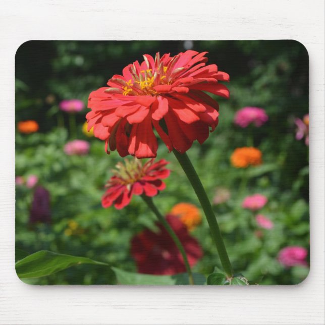 Alfombrilla De Ratón Elegante naranja rojo florido jardín (Frente)