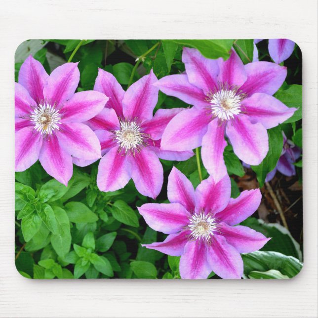 Alfombrilla De Ratón Elegante rosa floral verde botánico (Frente)