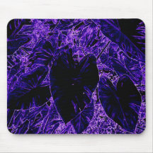 Elephant Ear Leaf Deepest Purple