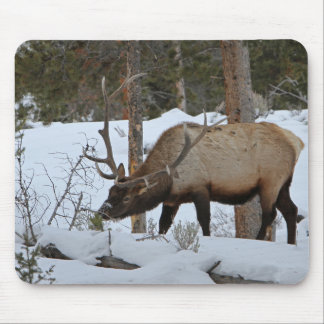 Alfombrilla De Ratón Elk