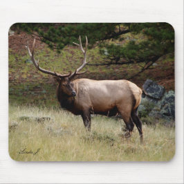Alfombrilla De Ratón Elk en el Mousepad salvaje
