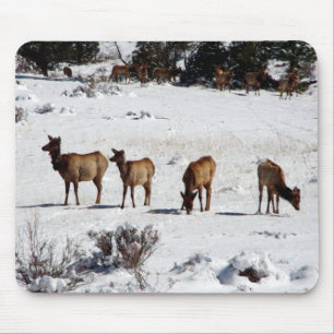 Alfombrilla De Ratón Elk en la ratera de nieve