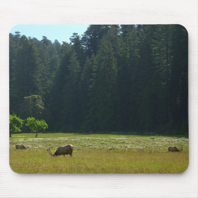 Alfombrilla De Ratón Elk Meadow en el parque nacional de Redwood (Frente)