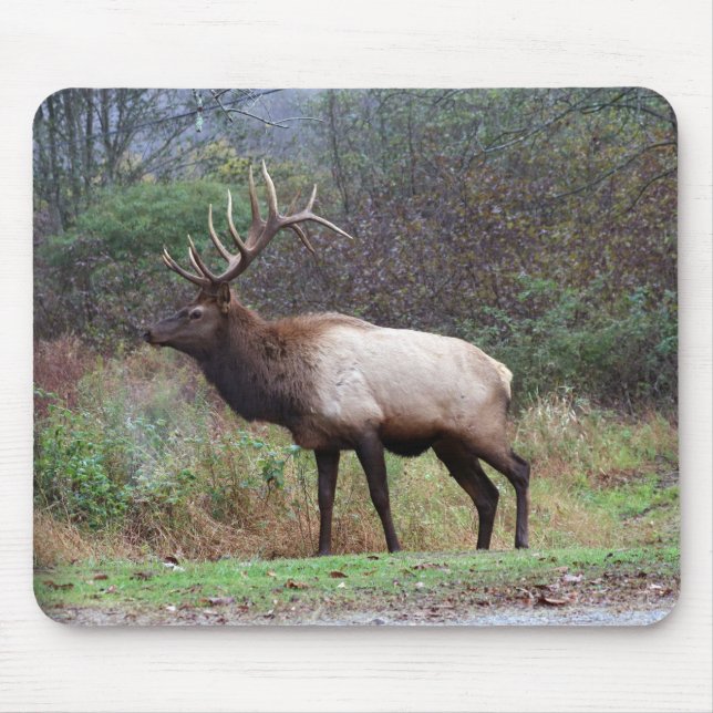 Alfombrilla De Ratón Elk Mousepad (Frente)