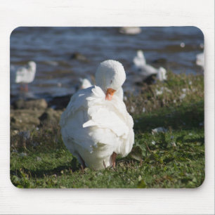 Alfombrilla De Ratón Embden Goose