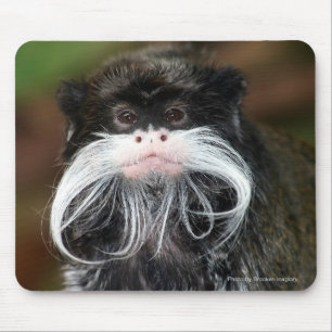 Alfombrilla De Ratón Emperador Tamarin