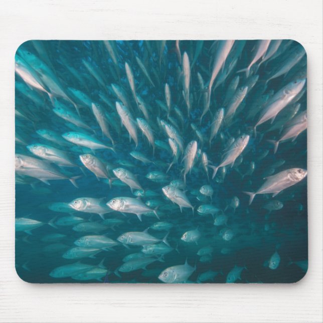 Alfombrilla De Ratón En los enchufes (Frente)