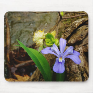 Alfombrilla De Ratón Enanos enanos Iris flor azul morada blanca