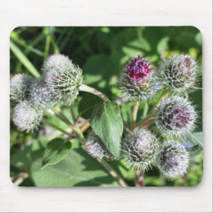 Alfombrilla De Ratón encaje sobre el cardo
