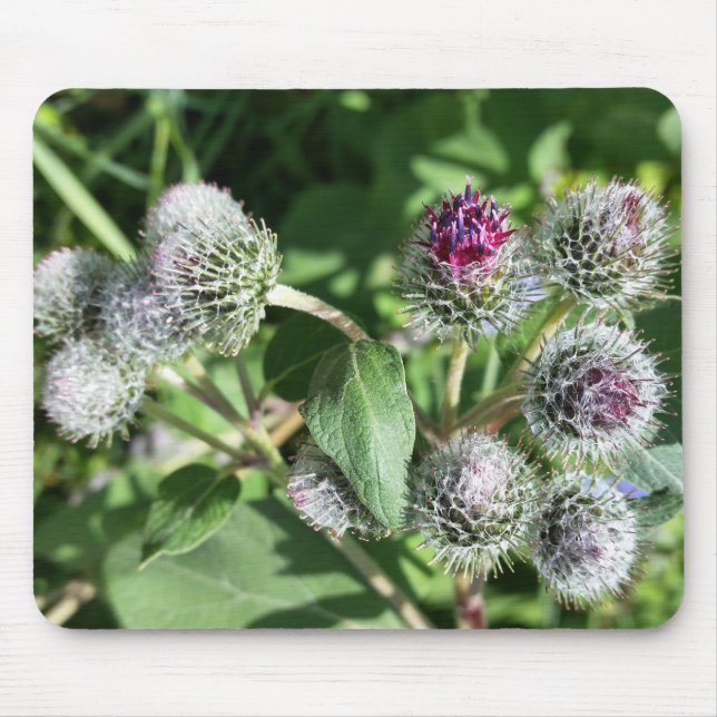 Alfombrilla De Ratón encaje sobre el cardo (Frente)