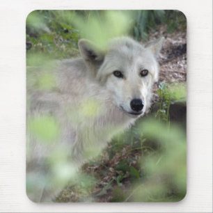 Alfombrilla De Ratón Encanto del lobo
