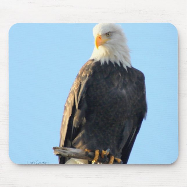 Alfombrilla De Ratón Encaramado orgulloso (Frente)