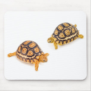 Alfombrilla De Ratón Encuentro de las tortugas