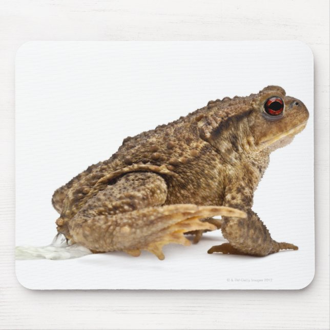 Alfombrilla De Ratón Enorme de sapo común o sapo europeo (búho bufo) (Frente)