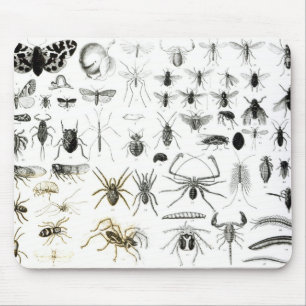 Alfombrilla De Ratón Entomología, miriápodos y arácnidos
