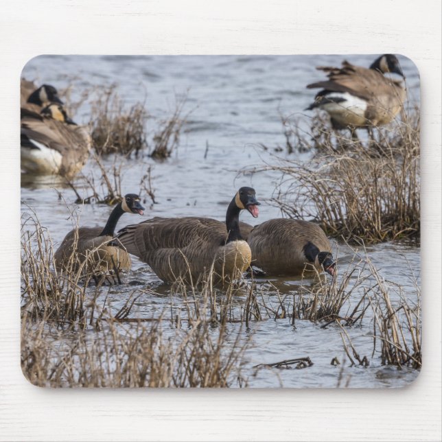Alfombrilla De Ratón Entrando (Frente)