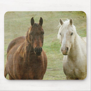 Alfombrilla De Ratón Equine Buddies