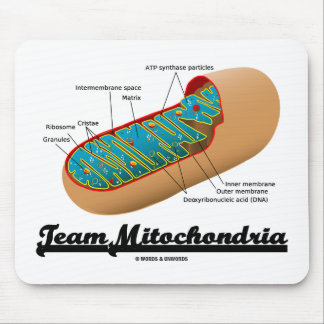 Alfombrilla De Ratón Equipo Mitochondria Mitochondrion Humor