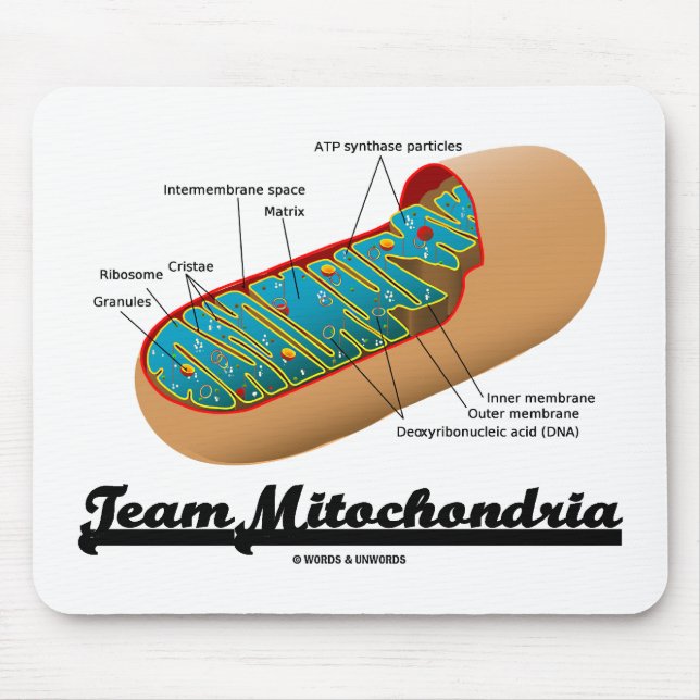 Alfombrilla De Ratón Equipo Mitochondria Mitochondrion Humor (Frente)