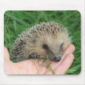 Alfombrilla De Ratón Erizo Mousepad