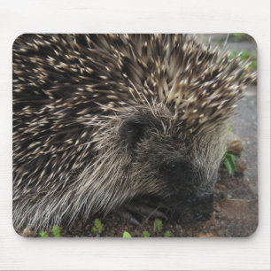 Alfombrilla De Ratón Erizo Mousepad