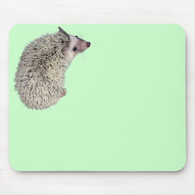 Alfombrilla De Ratón Erizo Mousepad 2 (Frente)