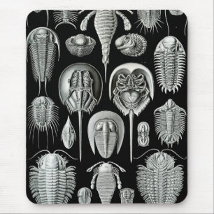 Alfombrilla De Ratón Ernst Haeckel - Aspidonia