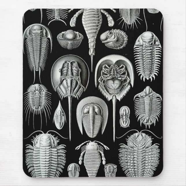 Alfombrilla De Ratón Ernst Haeckel - Aspidonia (Frente)