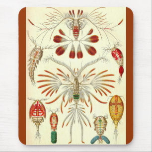 Alfombrilla De Ratón Ernst Haeckel - Copepoda